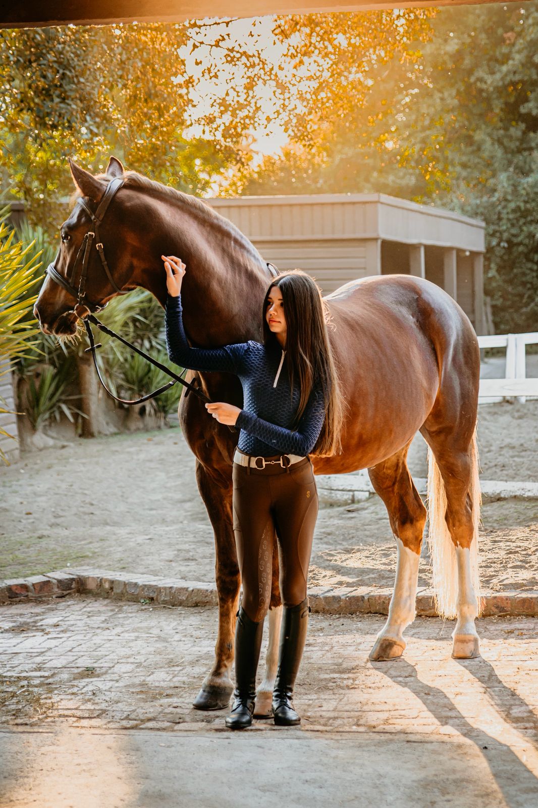 Horse Training & Tack