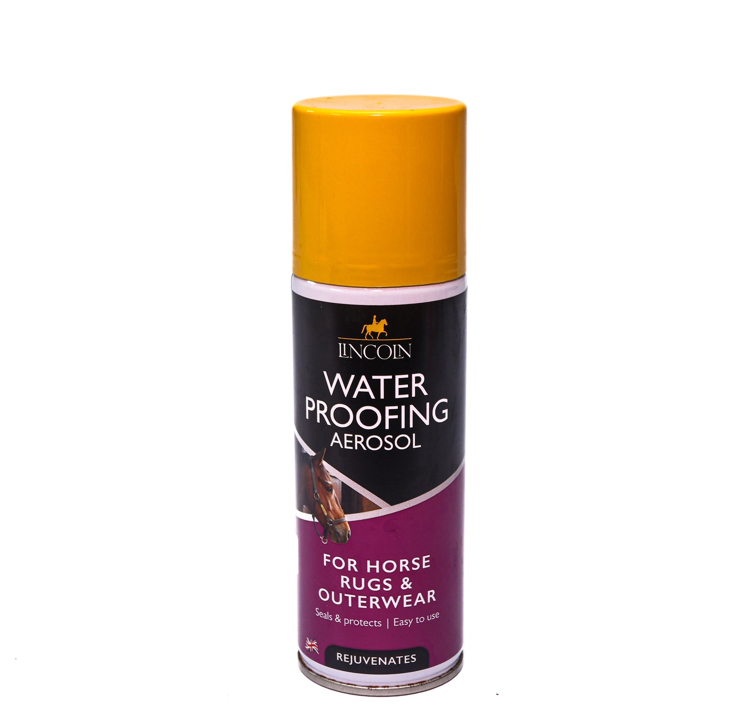 Lincoln Waterproofing Aerosol