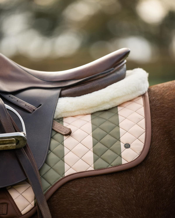 Stirrup & Leathers